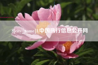 中山1.中国执行信息公开网