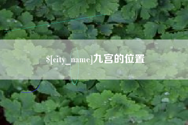 中山九宫的位置