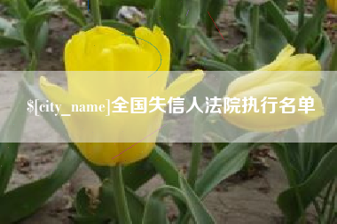 中山全国失信人法院执行名单