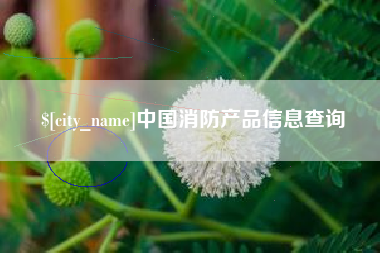 中山中国消防产品信息查询