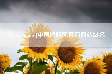 中山中国消防网官方网站域名