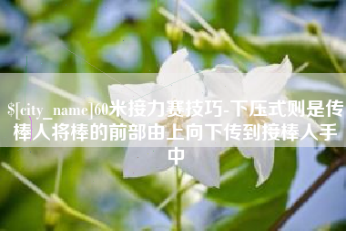 中山60米接力赛技巧-下压式则是传棒人将棒的前部由上向下传到接棒人手中