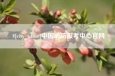 中山中国消防报考中心官网