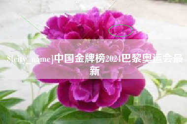 中山中国金牌榜2024巴黎奥运会最新