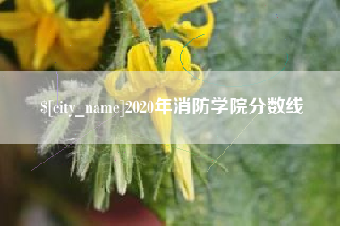 中山2020年消防学院分数线