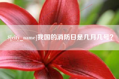 中山我国的消防日是几月几号？