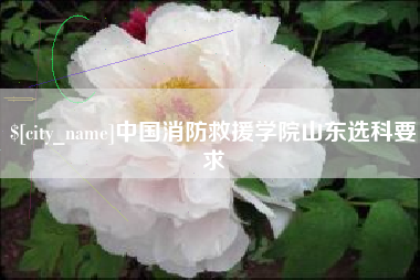 中山中国消防救援学院山东选科要求
