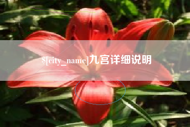 中山九宫详细说明