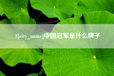 中山中国冠军是什么牌子