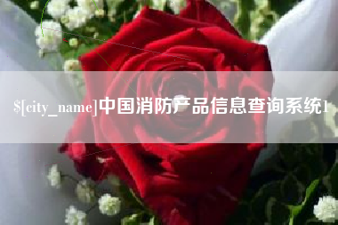中山中国消防产品信息查询系统1