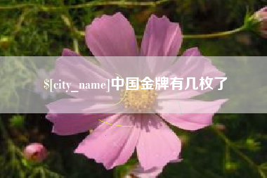 中山中国金牌有几枚了