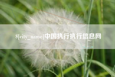 中山中国执行执行信息网