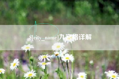 中山九宫格详解