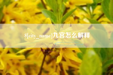 中山九宫怎么解释