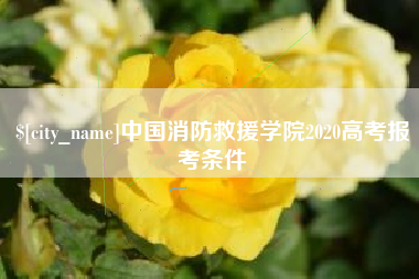 中山中国消防救援学院2020高考报考条件