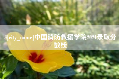中山中国消防救援学院2021录取分数线