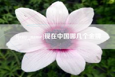 中山现在中国哪几个金牌