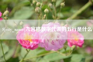 中山九宫格数字代表的五行是什么