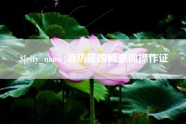 中山消防证国网查询操作证