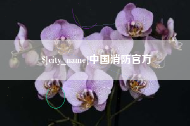 中山中国消防官方