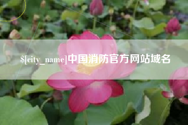 中山中国消防官方网站域名