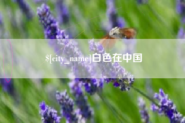 中山白色在中国