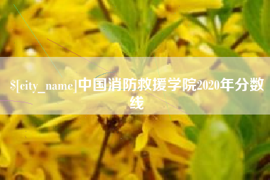 中山中国消防救援学院2020年分数线