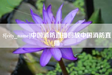中山中国消防直播回放中国消防直播