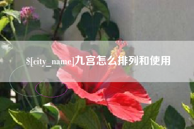 中山九宫怎么排列和使用