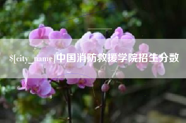 中山中国消防救援学院招生分数