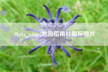 中山地图指南针图标图片