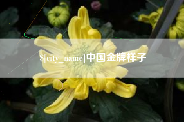 中山中国金牌样子