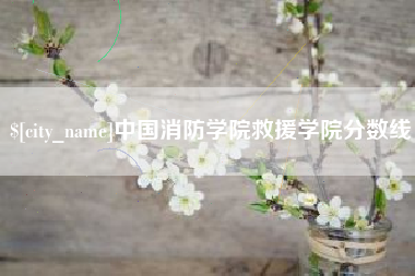 中山中国消防学院救援学院分数线