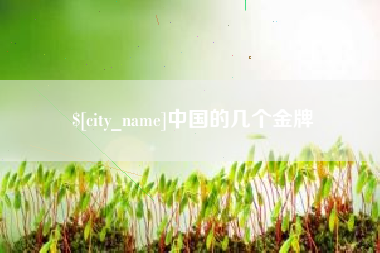 中山中国的几个金牌