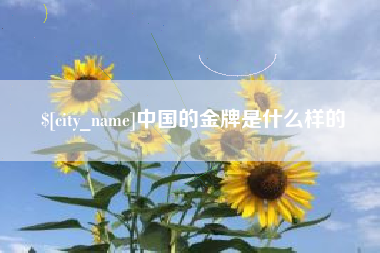 中山中国的金牌是什么样的