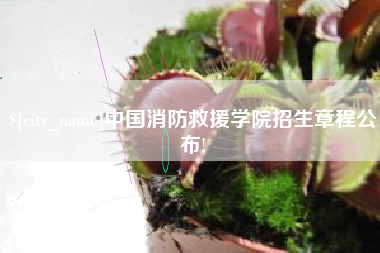 中山中国消防救援学院招生章程公布!