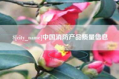 中山中国消防产品质量信息