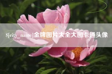 中山金牌图片大全大图卡通头像