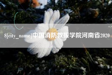 中山中国消防救援学院河南省2020